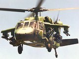 jed45.jpg